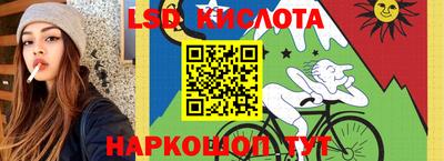 гидропоника Брянск