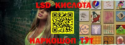 гидропоника Брянск