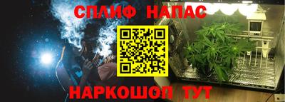 гидропоника Брянск